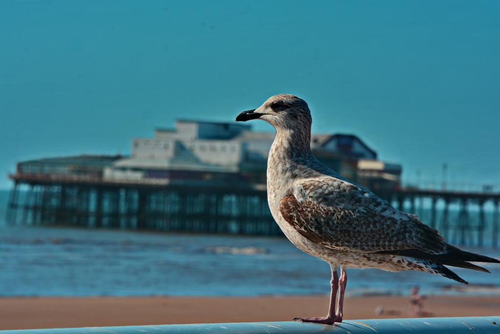 Hotel Tregenna Blackpool Esterno foto